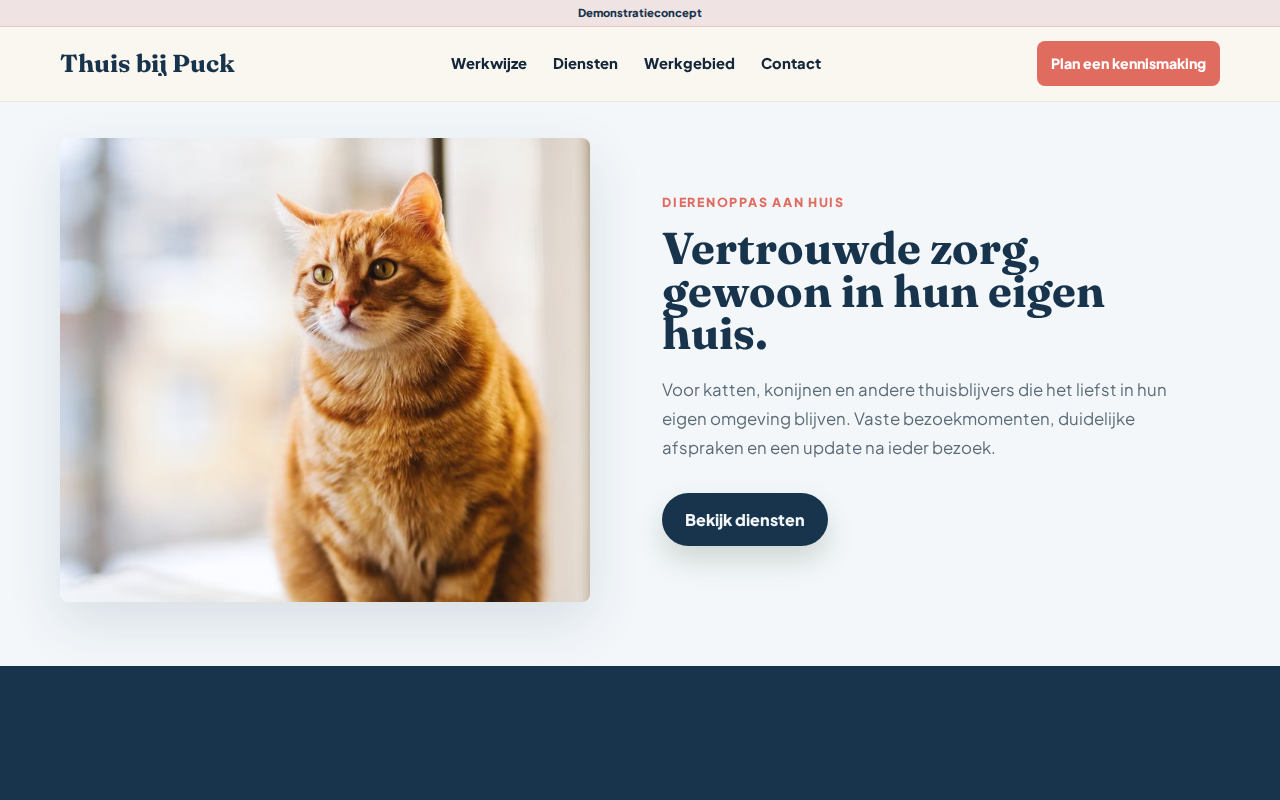 Lokale dienstverlener template preview